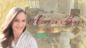 Access bars delavnica