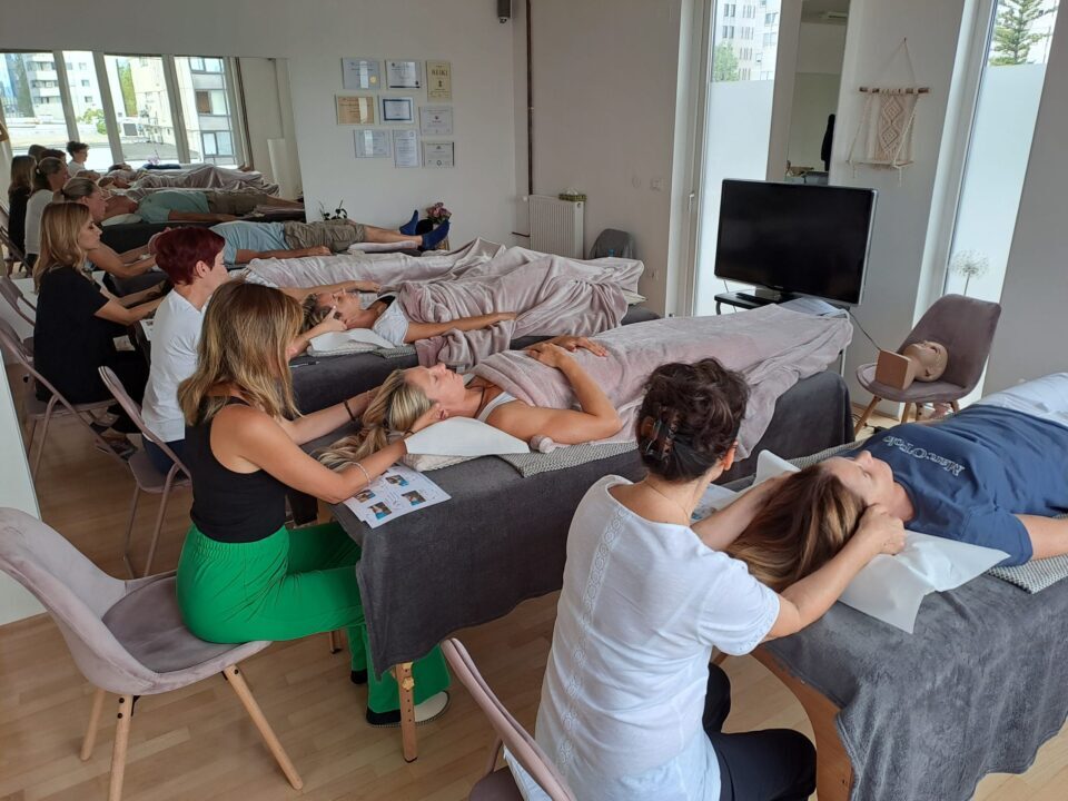 Access Bars delavnica