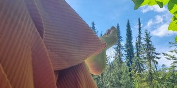 7. del/10: Lepota prisotnosti in bivanja